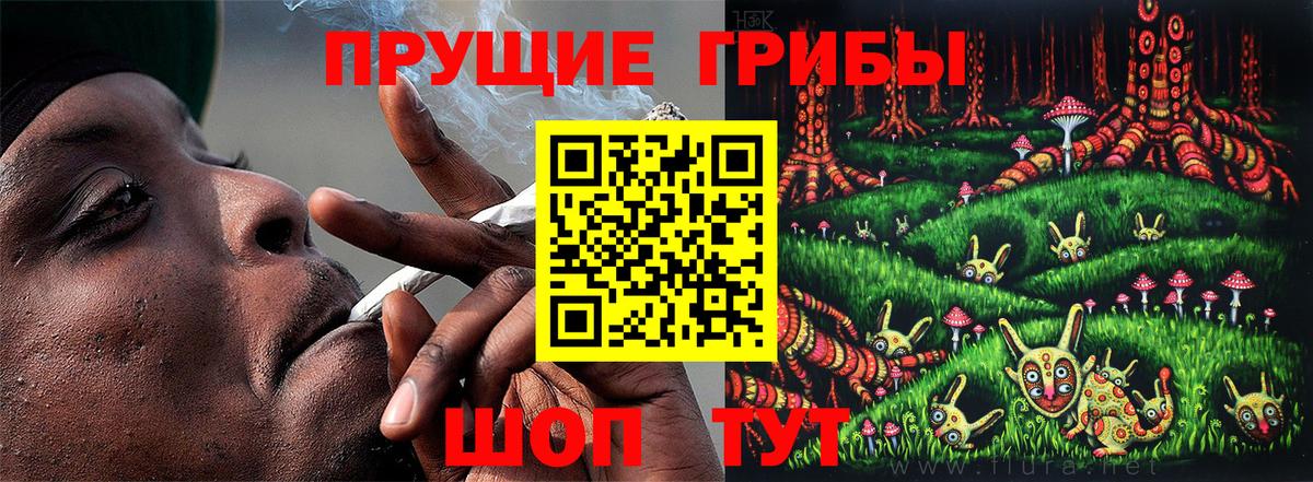 Ейск  хочу наркоту  Вход с VPN  Псилоцибиновые грибы Psilocybe 